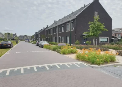 Nieuwe Woonwijk ‘De Dijkjes’ Elburg